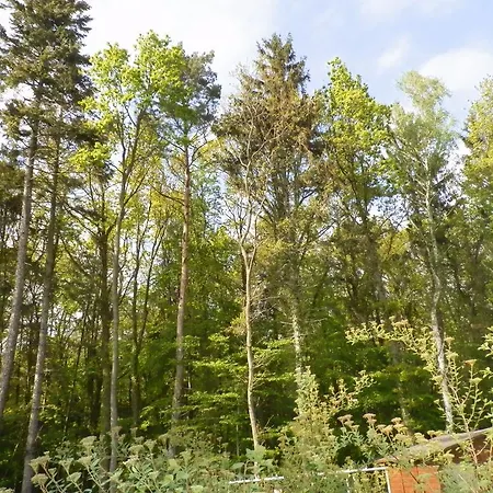 Twee Linden Warnemuende Stolteraa Casa vacanze *